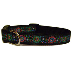 Super Squiggles Dog Collars