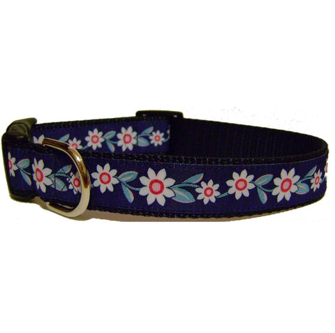 Beautiful Blue Daisies Dog Collars