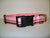 Miss Preppy Dog Collars