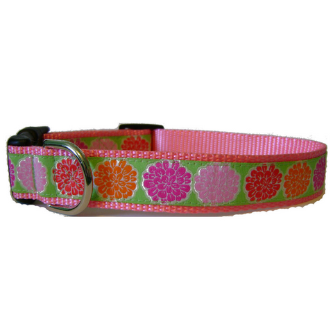 Pretty Dahlias Dog Collars
